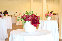 HEATHER CHRISTO BOOK LAUNCH